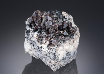 CC28323 specimen image