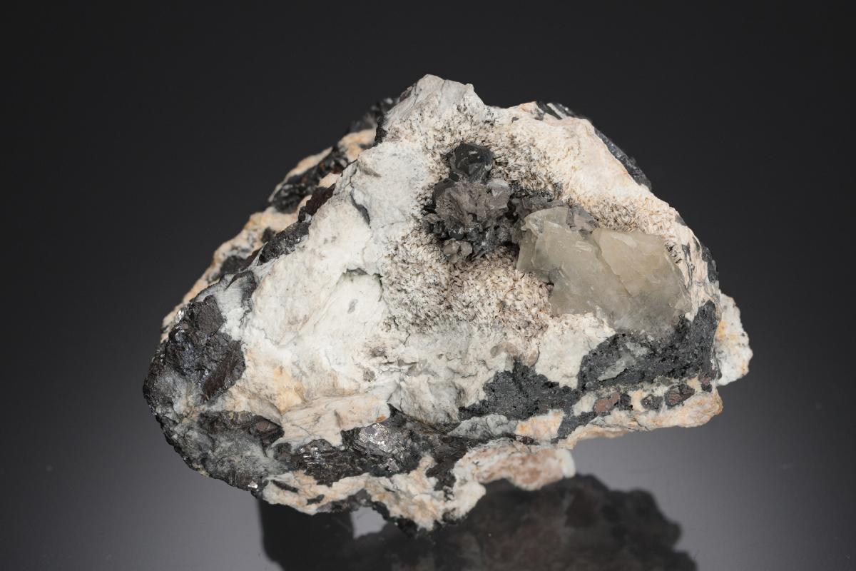 CC28331 specimen image