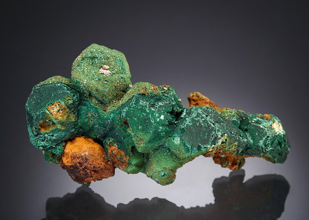 CC28335 specimen image