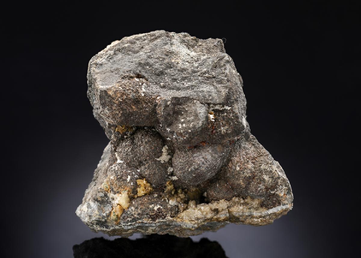 CC28349 specimen image