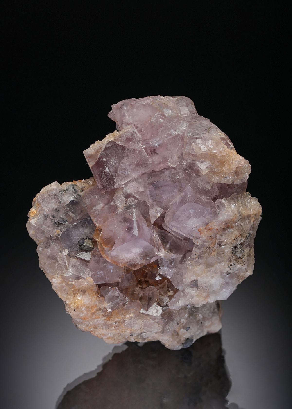 CC28361 specimen image