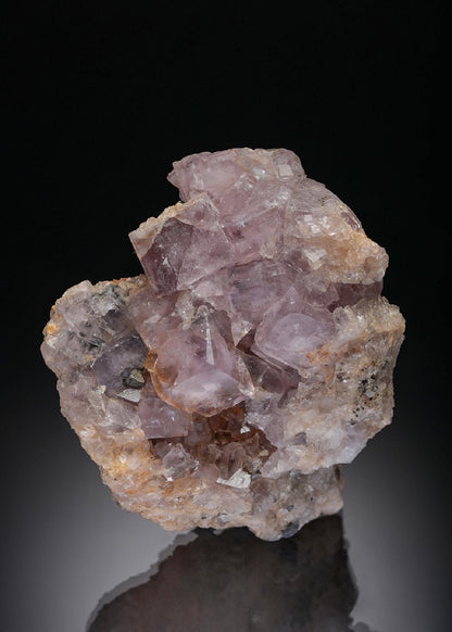 CC28361 specimen image