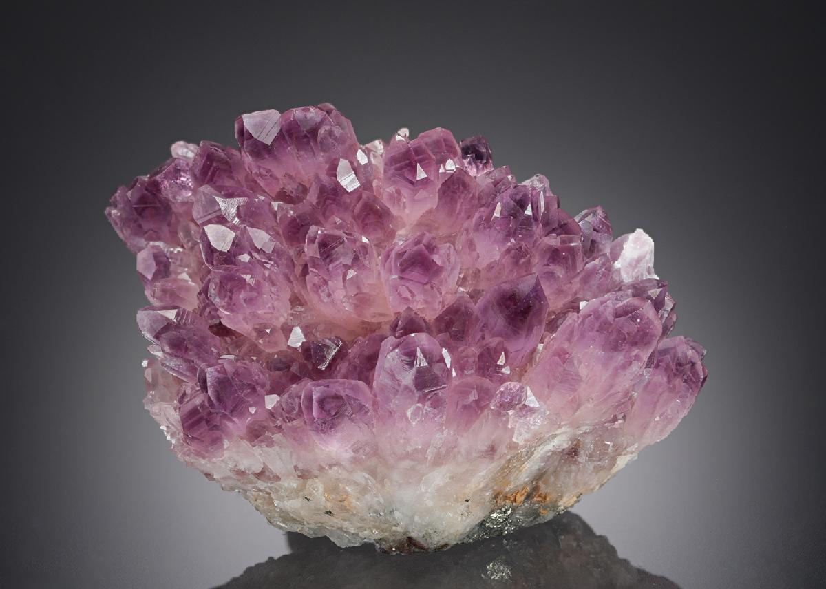 CC28367 specimen image