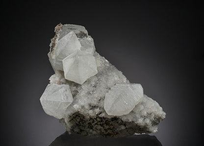 CC28371 specimen image