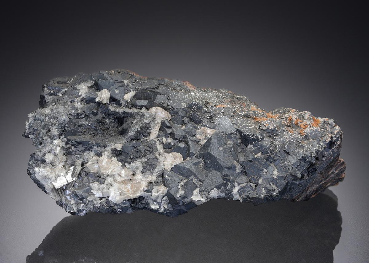 CC28375 specimen image