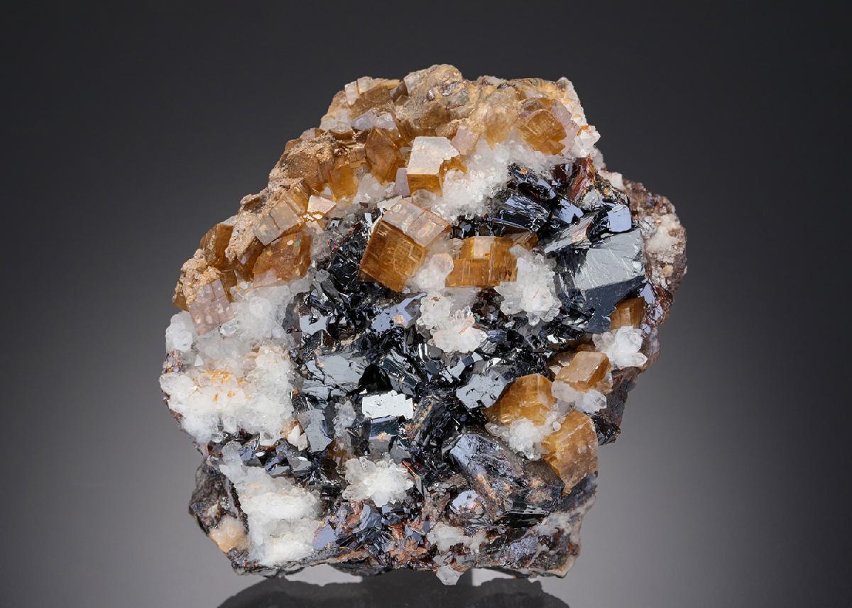 CC28379 specimen image