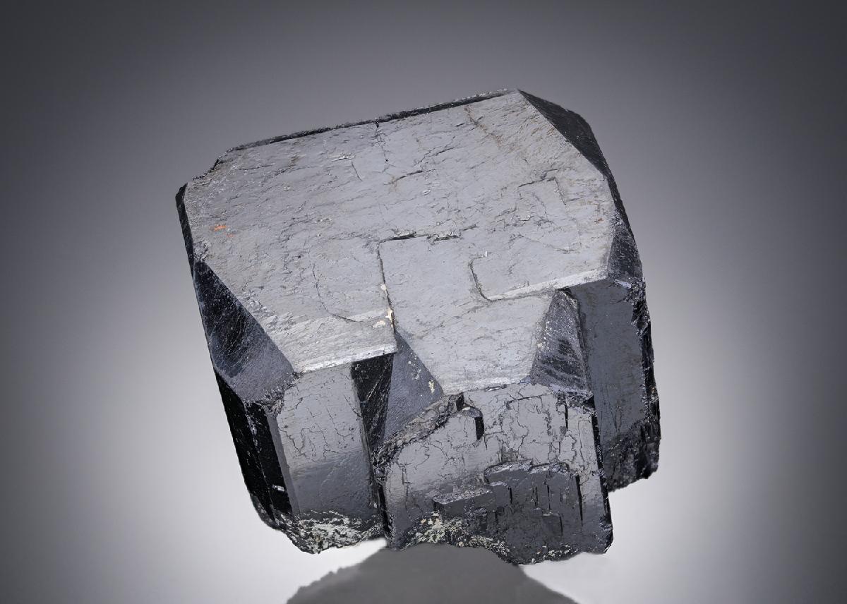 CC28383 specimen image