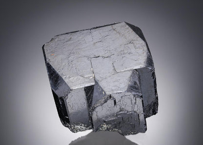 CC28383 specimen image