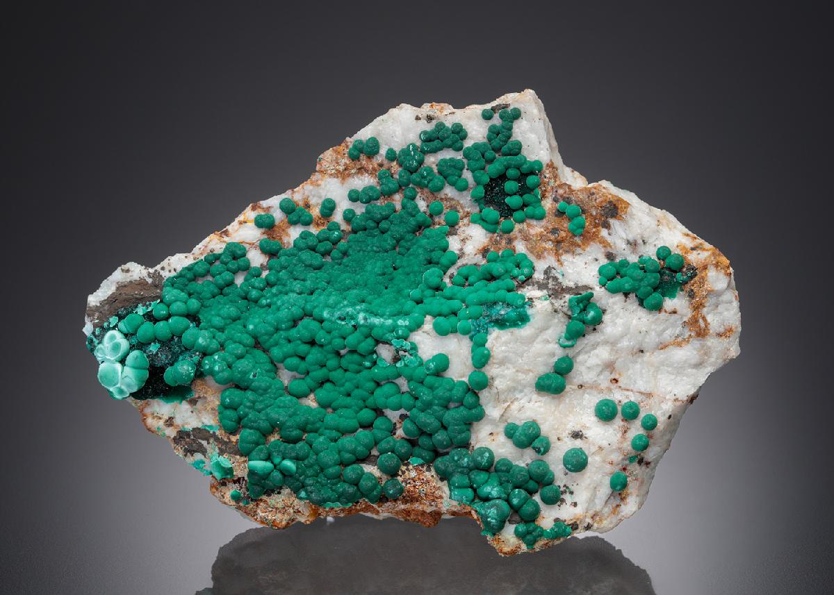 CC28385 specimen image
