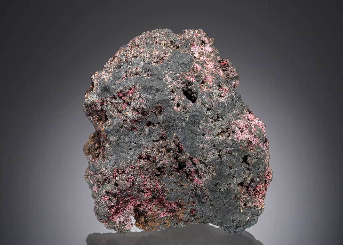 CC28387 specimen image