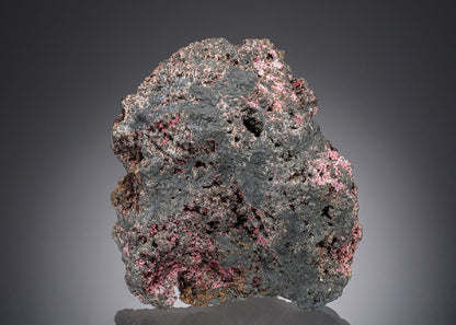 CC28387 specimen image
