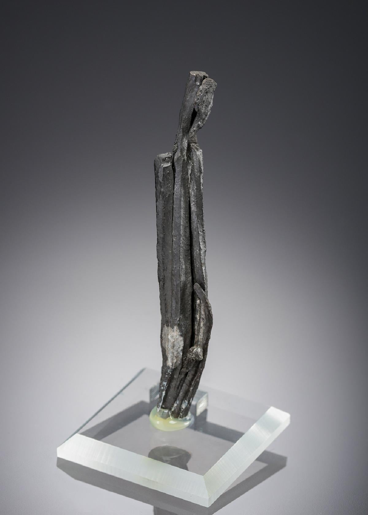 CC28389 specimen image