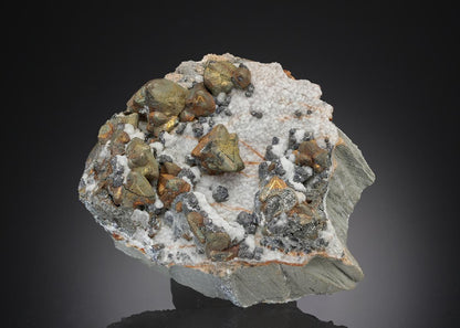 CC28391 specimen image