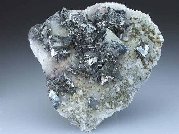 CC2840 specimen image