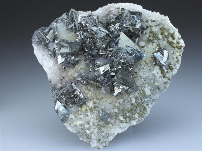 CC2840 specimen image