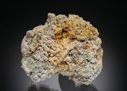 CC28401 specimen image