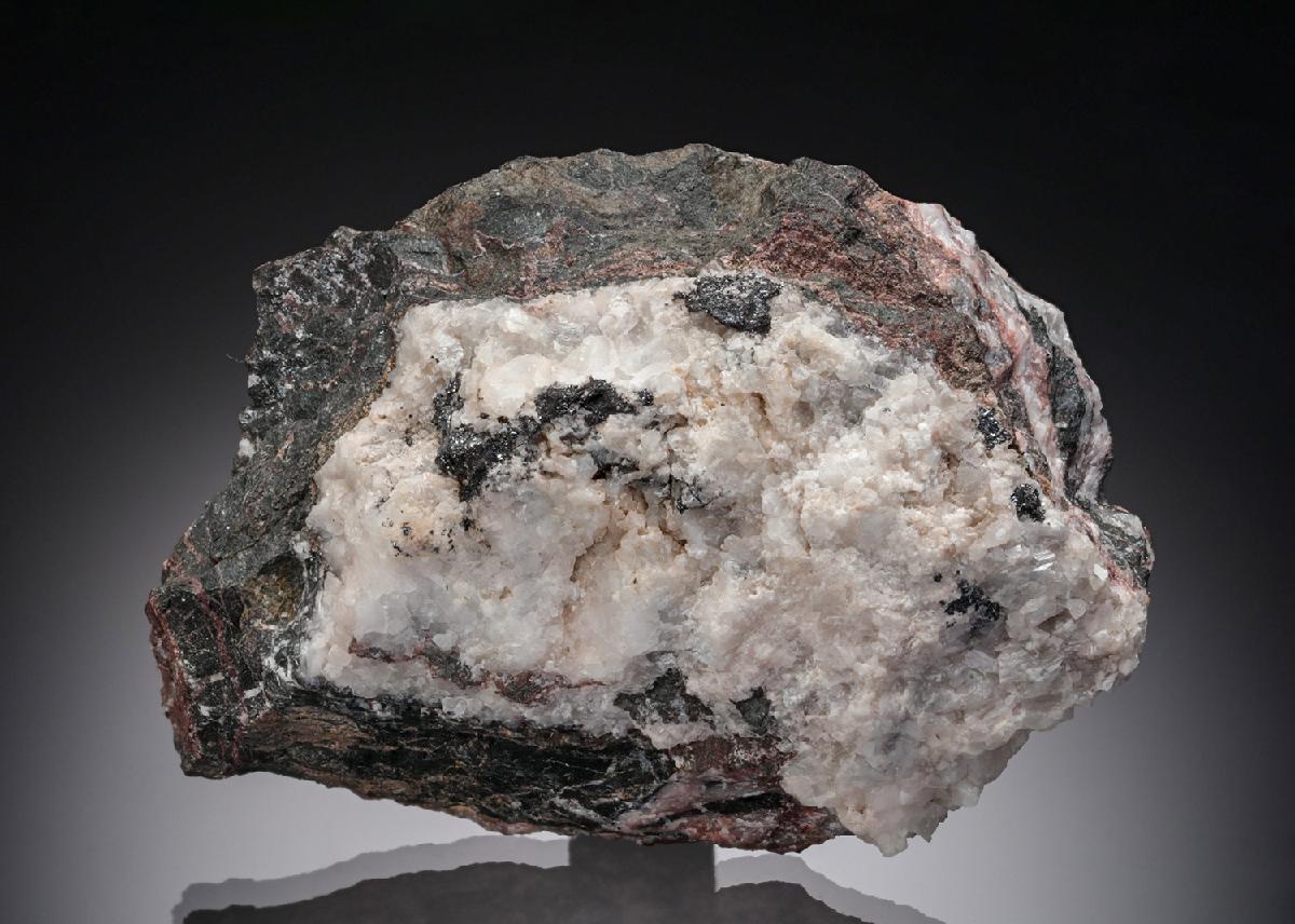 CC28407 specimen image