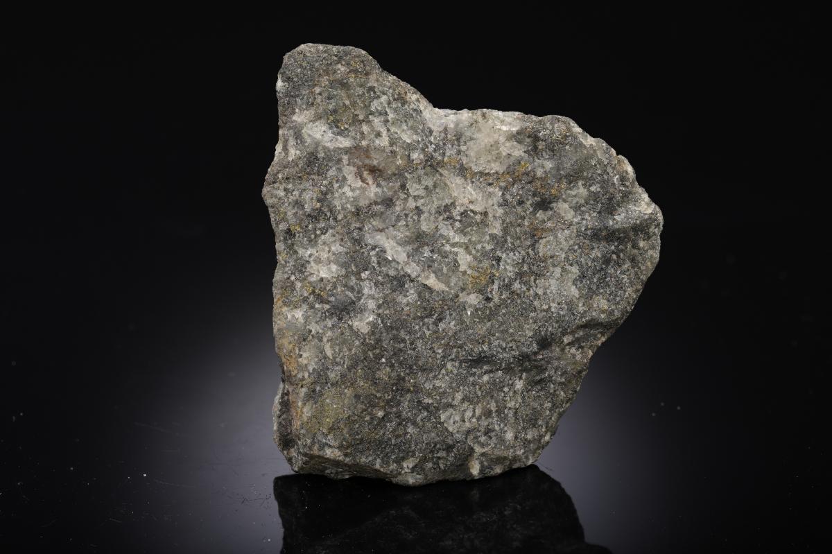 CC28409 specimen image