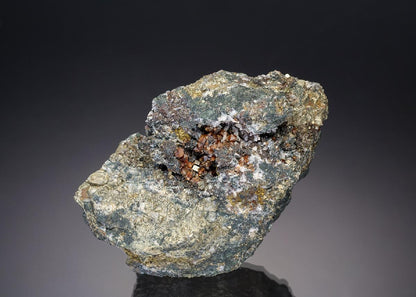 CC28411 specimen image