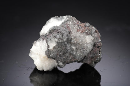CC28415 specimen image