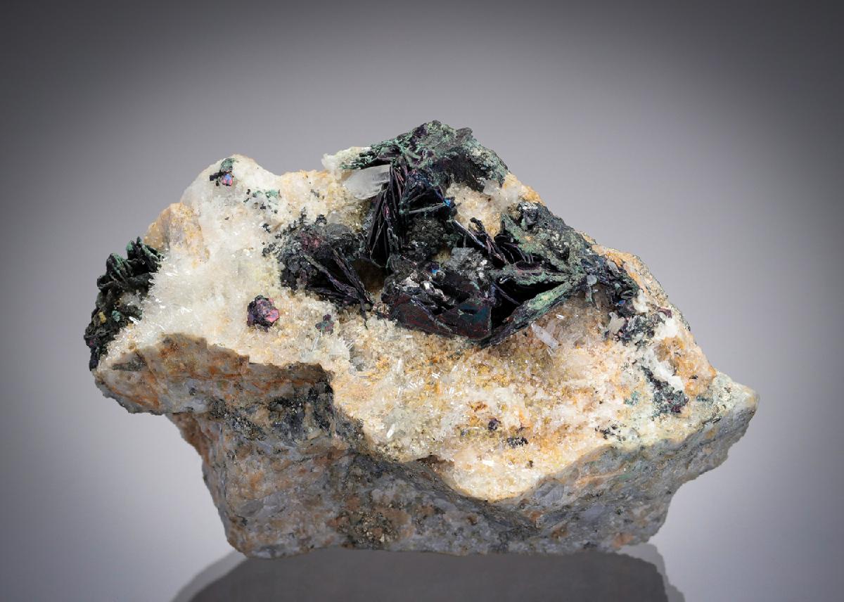 CC28421 specimen image