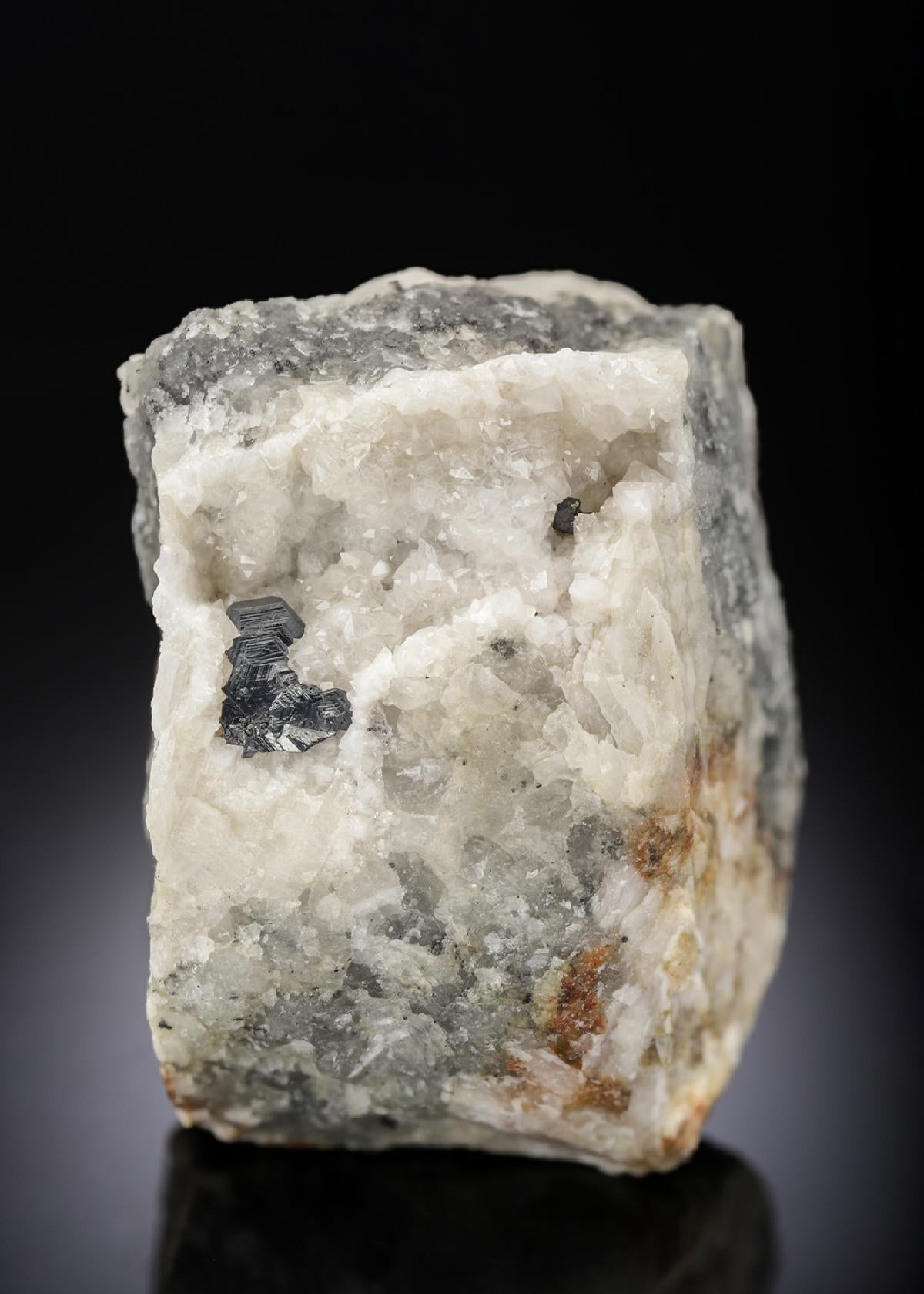 CC28425 specimen image