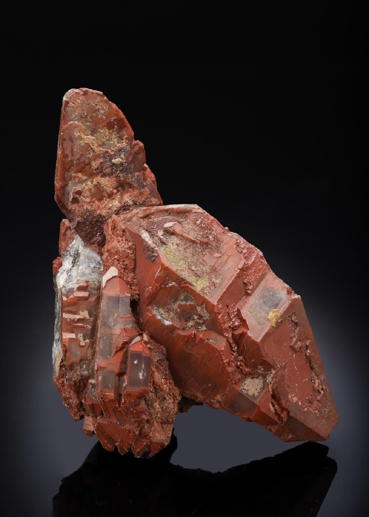CC28441 specimen image