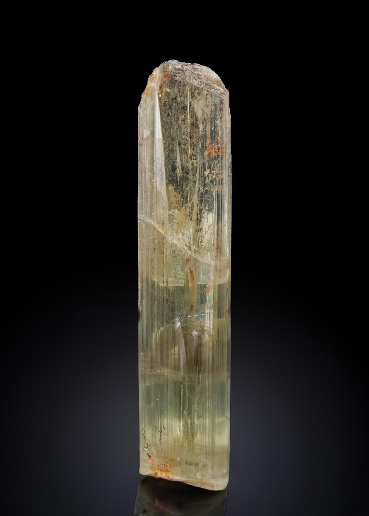 CC28447 specimen image
