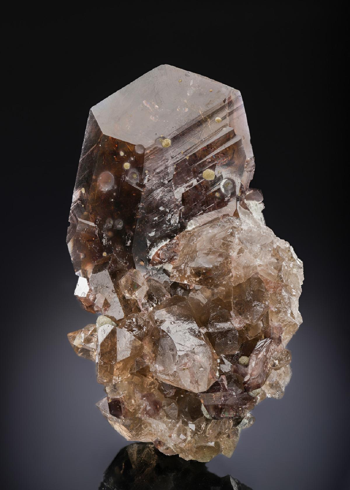 CC28451 specimen image