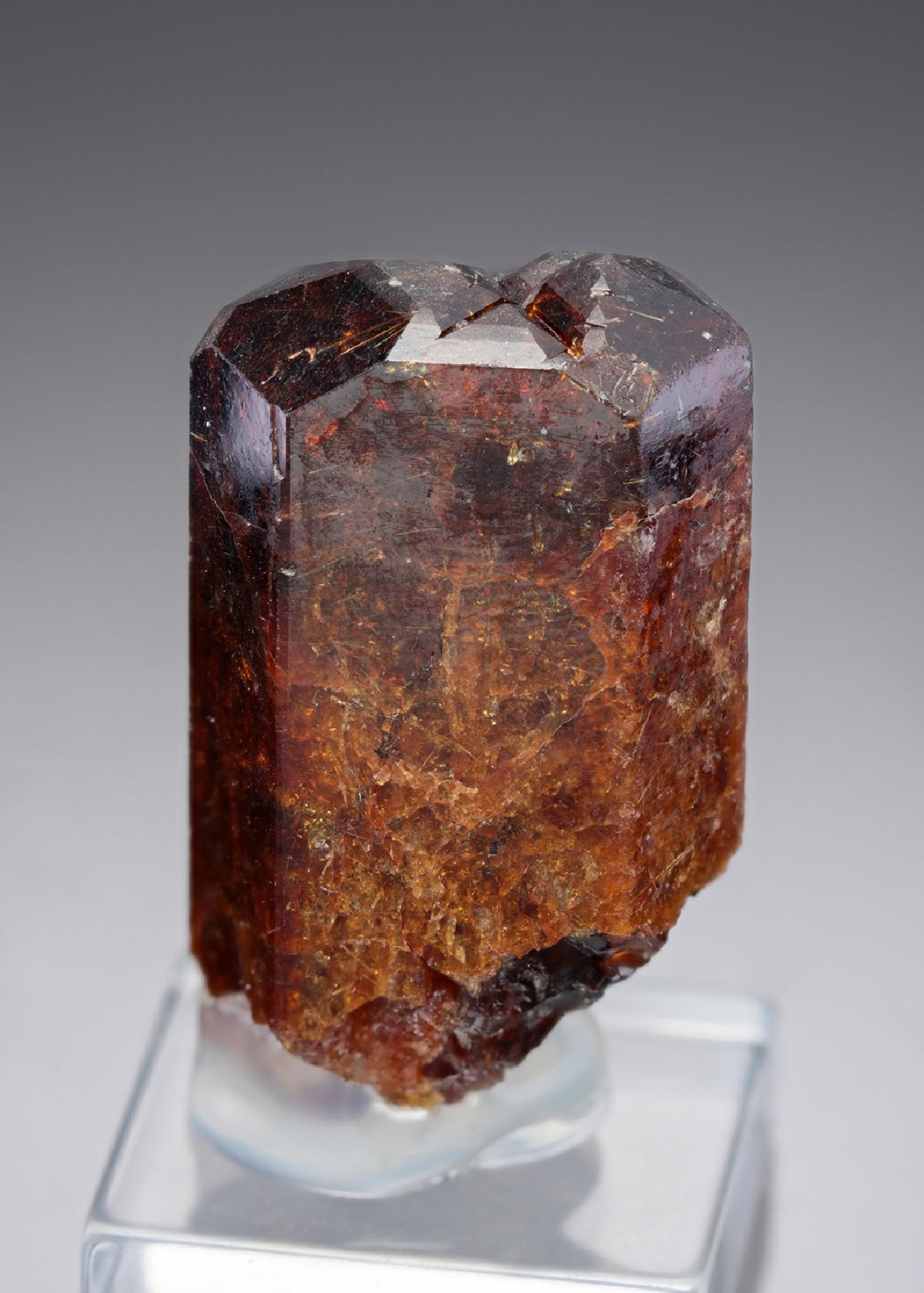 CC28461 specimen image