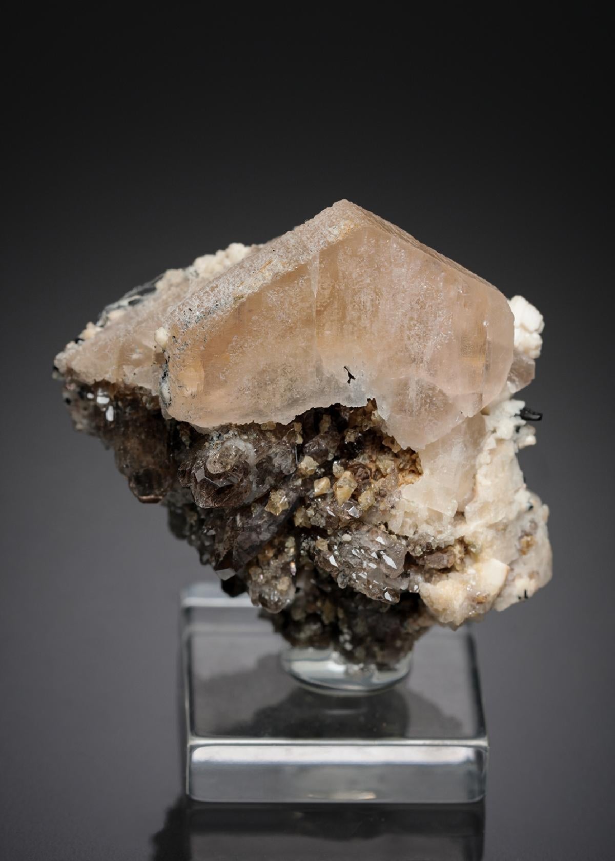 CC28463 specimen image