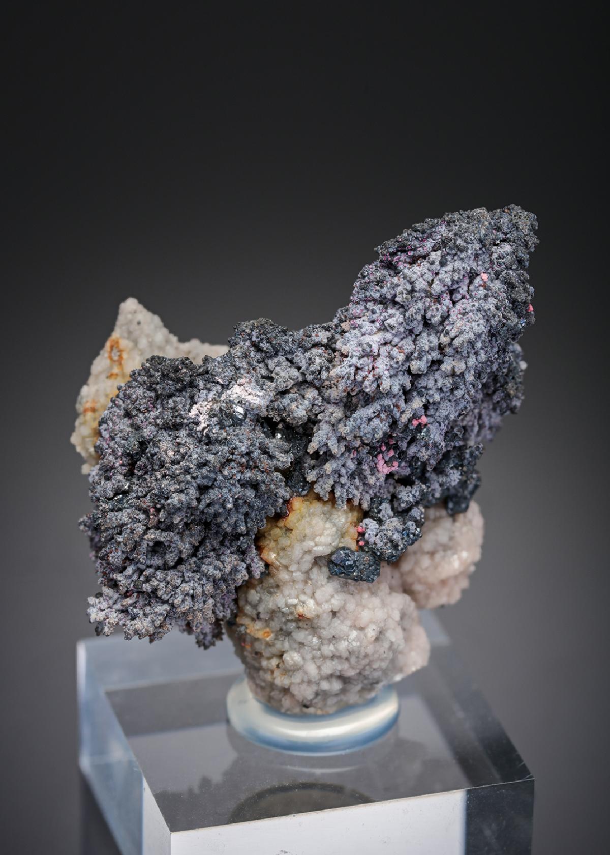 CC28465 specimen image