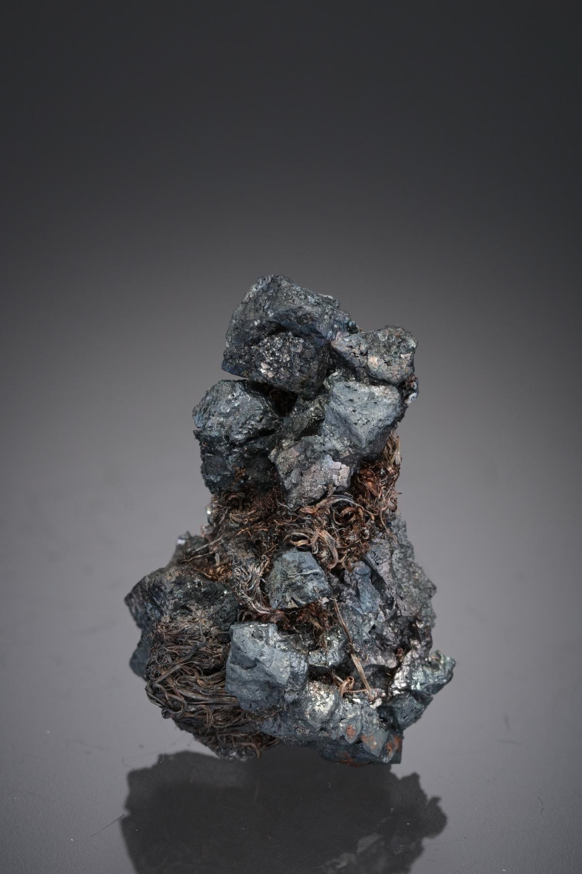 CC28467 specimen image