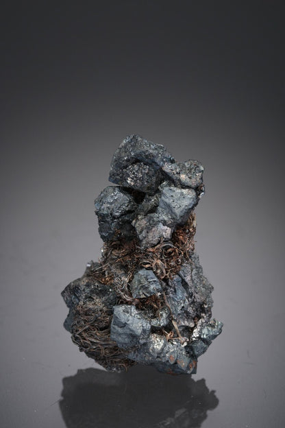 CC28467 specimen image