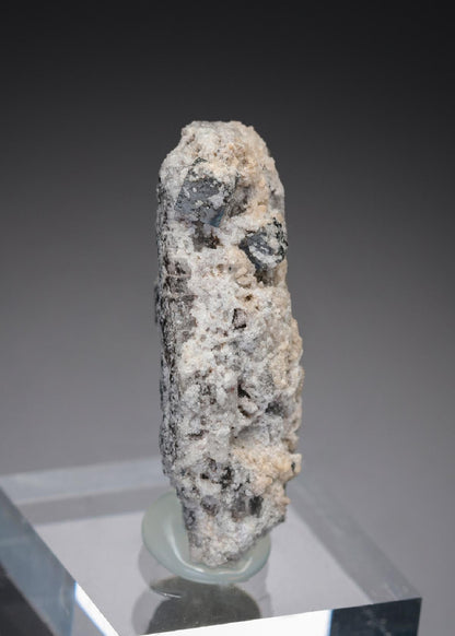 CC28469 specimen image