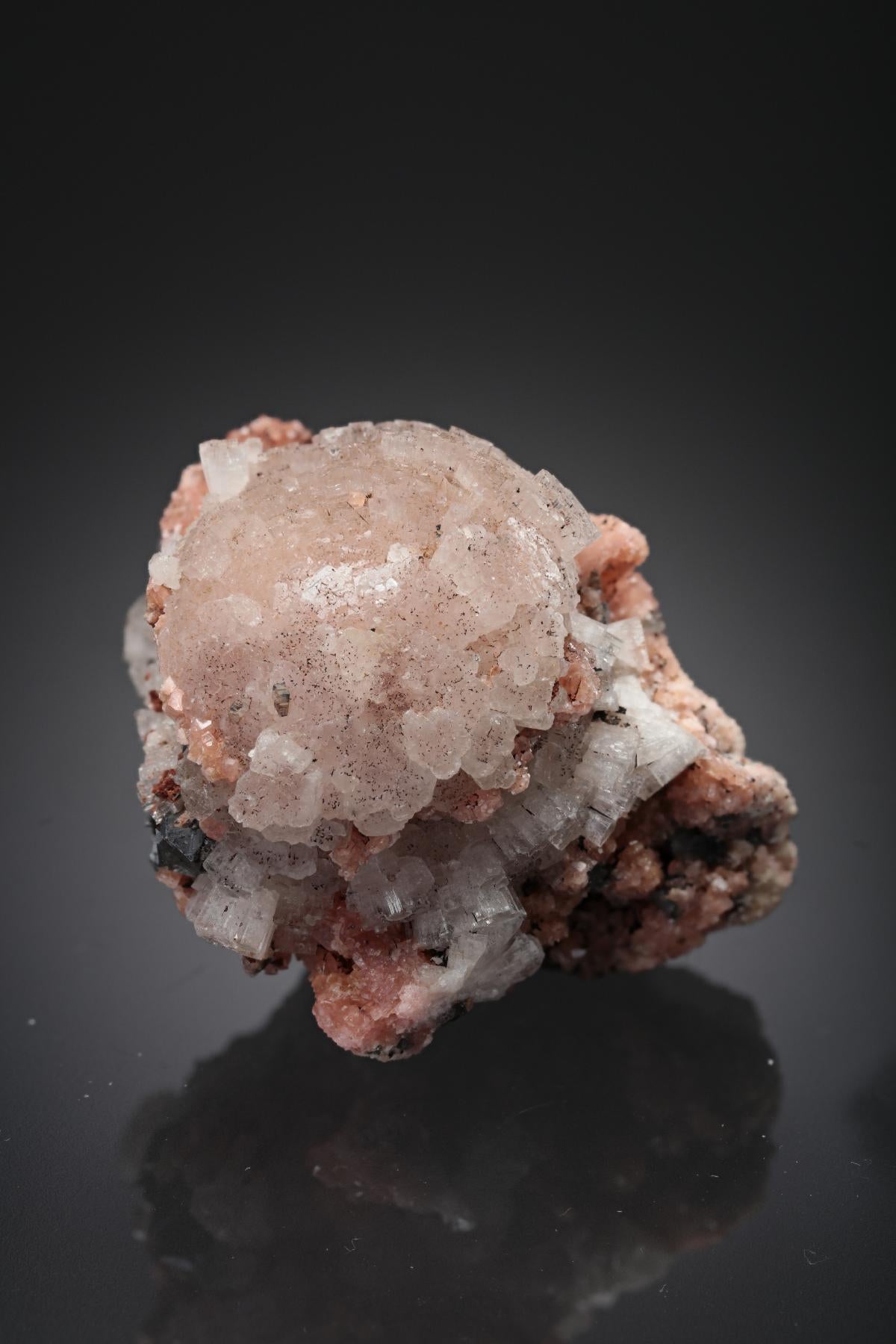 CC28473 specimen image