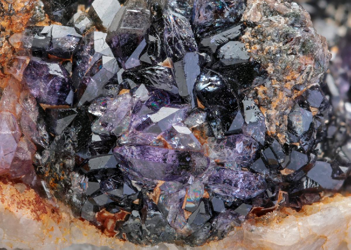 CC28477 specimen image
