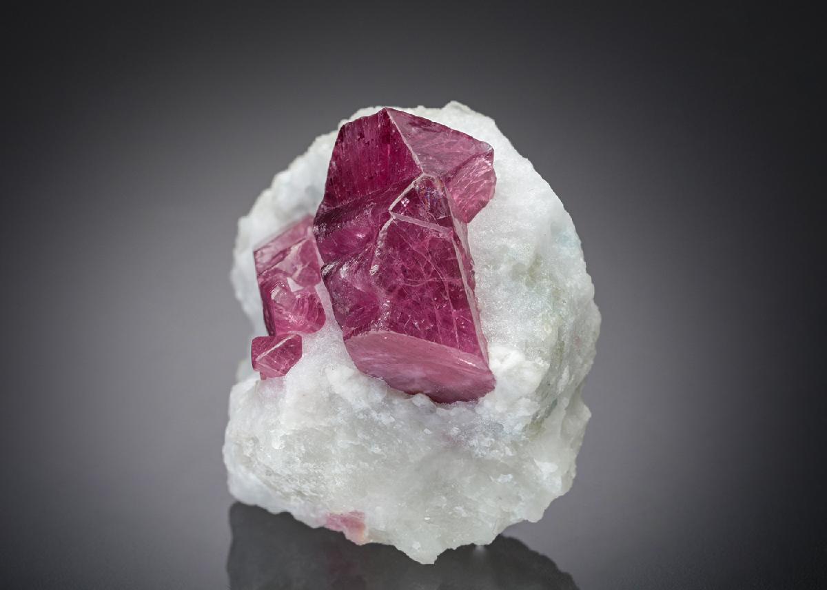 CC28483 specimen image