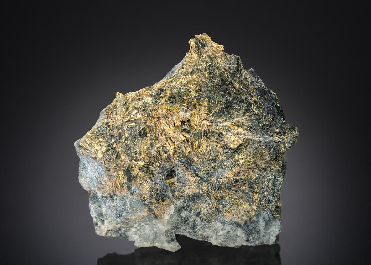 CC28491 specimen image