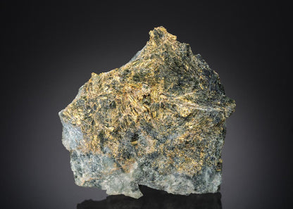 CC28491 specimen image