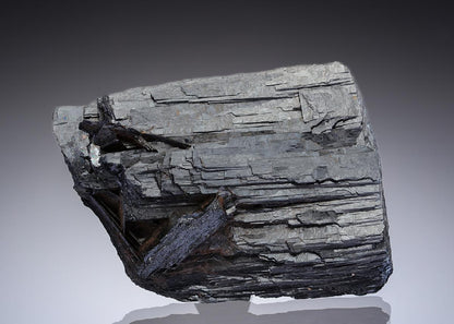 CC28493 specimen image