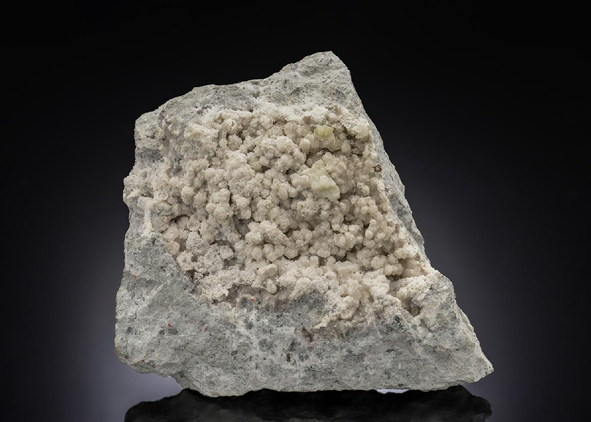CC28499 specimen image