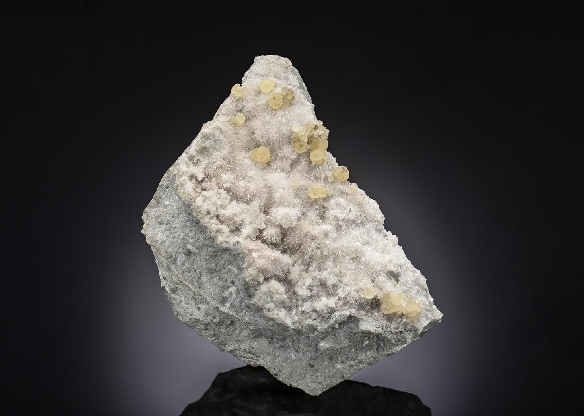 CC28507 specimen image