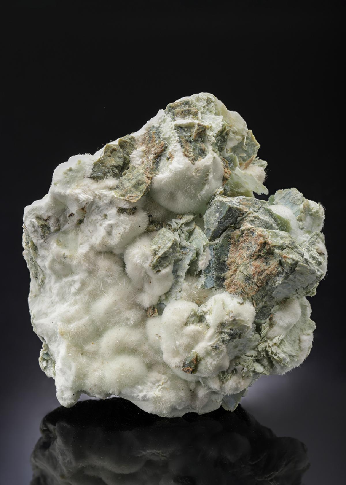 CC28531 specimen image