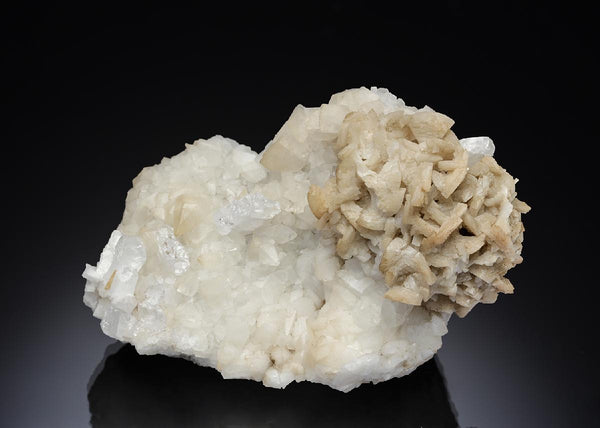 CC28537 specimen image