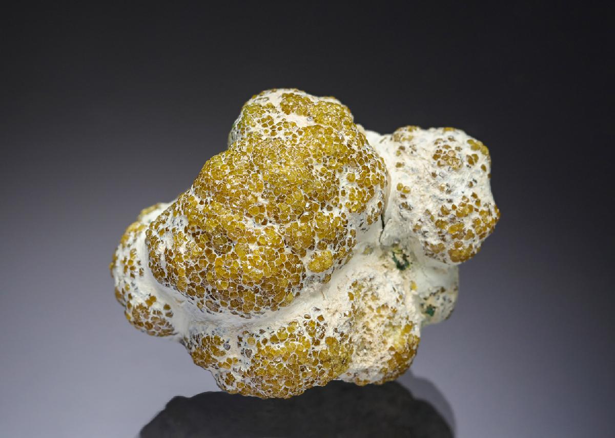CC28547 specimen image