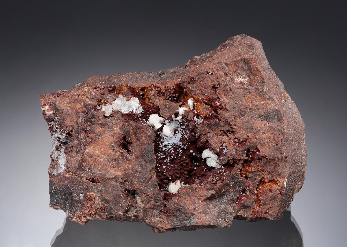 CC28553 specimen image