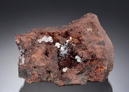 CC28553 specimen image