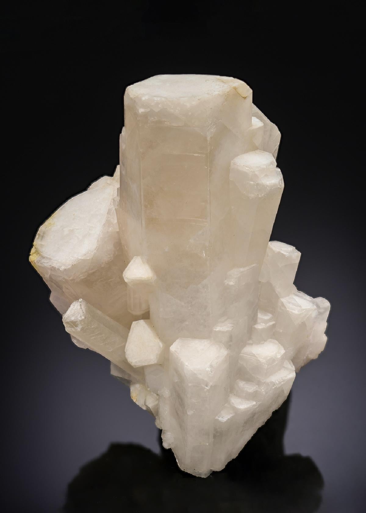 CC28577 specimen image