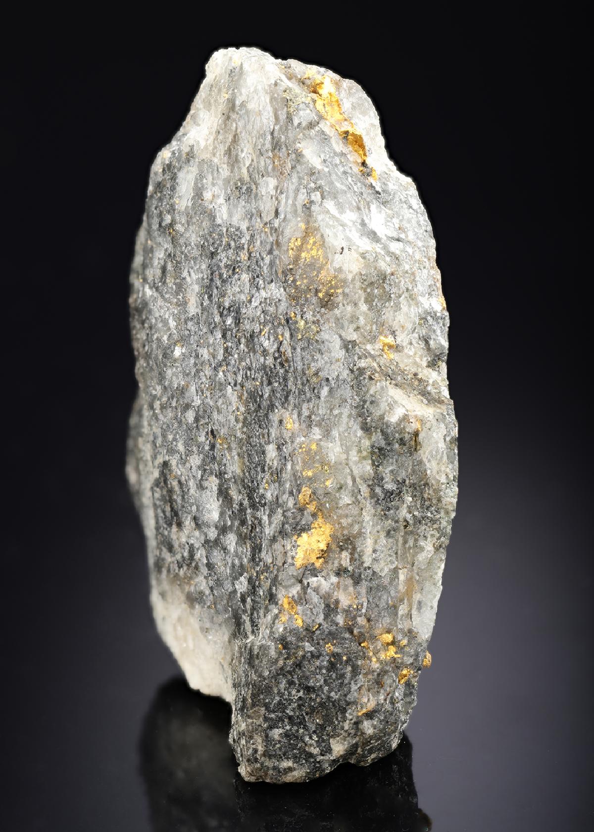 CC28589 specimen image